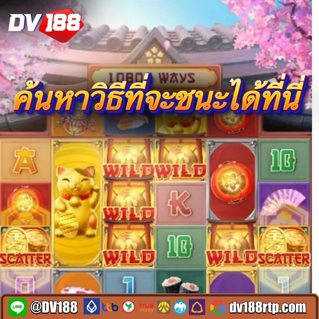 แพนด้า555 ดื่มด่ำไปกับเกมสล็อตออนไลน์ธีมเอเชีย กราฟิกสวยงาม เรื่องราวน่าสนใจ